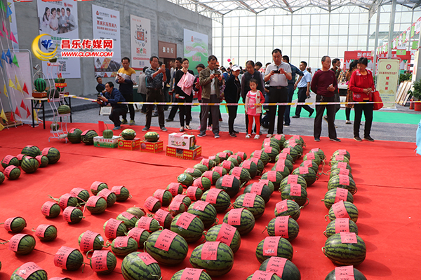 绿色梦境，品牌赋能 2018中国(昌乐)西瓜节精彩荟萃